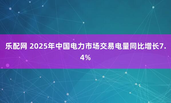 乐配网 2025年中国电力市场交易电量同比增长7.4%