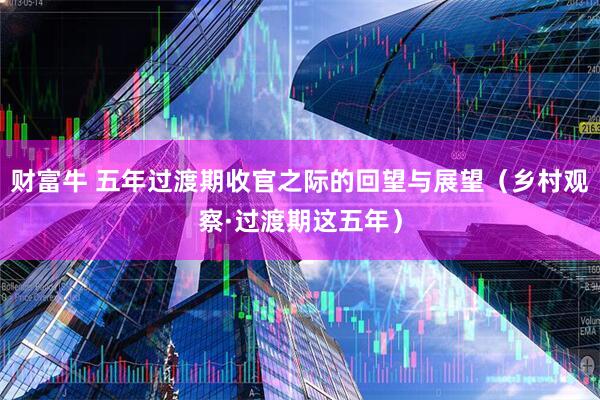 财富牛 五年过渡期收官之际的回望与展望（乡村观察·过渡期这五年）